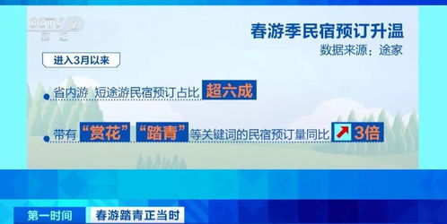 春暖花開時，三大潮流打卡新選擇 花海、民宿與山地戶外運動