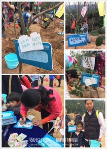 碧桂園植樹(shù)節(jié) 佩悅傳媒以專(zhuān)業(yè)公關(guān)策劃，賦能綠色品牌行動(dòng)